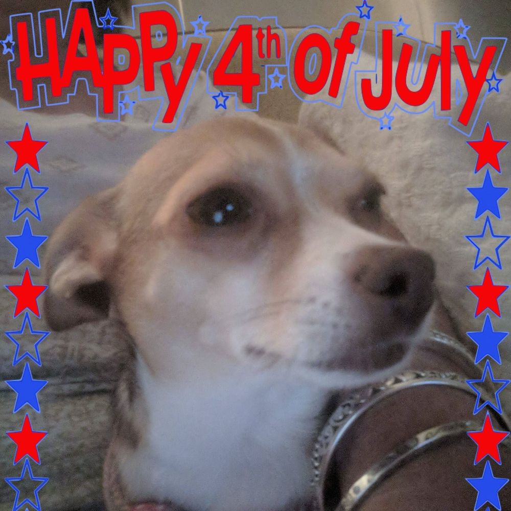 Meet your Posher, Libby